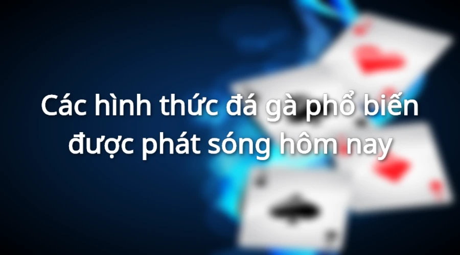 Các hình thức đá gà phổ biến được phát sóng hôm nay