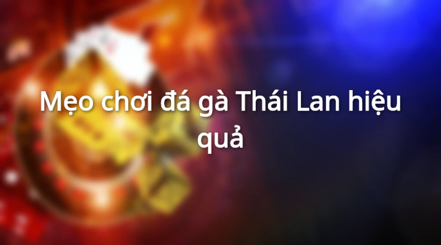 Mẹo chơi đá gà Thái hiệu quả
